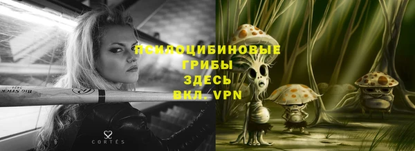 гидропоника Абдулино