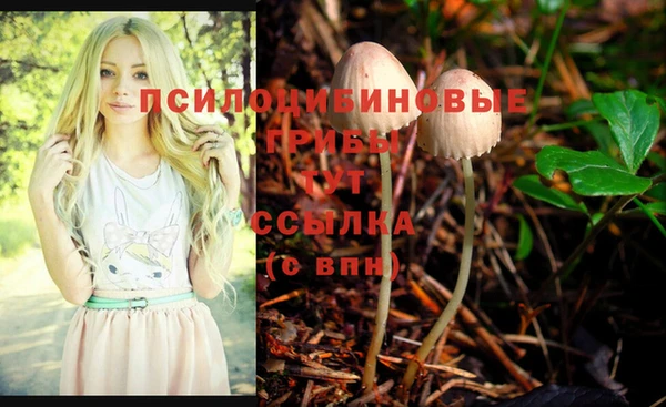гидра Домодедово